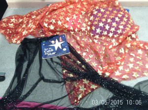 Helen Barboutis activities (1)