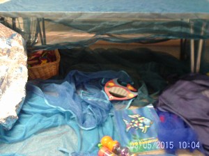 Helen Barboutis activities (2)